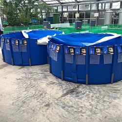 En de strijd gaat verder: afbeelding 3