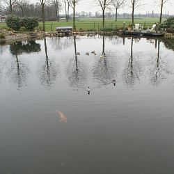 En hoe maken onze tosai het ?: afbeelding 21