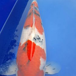 Enkele updates van klanten: afbeelding 2