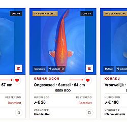 Enkele wetenswaardigheden: afbeelding 3