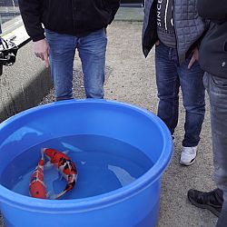 Er is zoveel gebeurd gisteren !: afbeelding 1