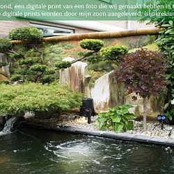 Ervaring en kennis is macht: afbeelding 2