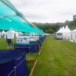 Euregio Koi Show Dag 1: afbeelding 3