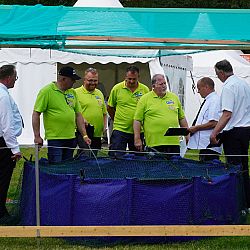 Euregio Koi Show dag 2: afbeelding 1
