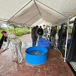 Event in Ameide: afbeelding 1