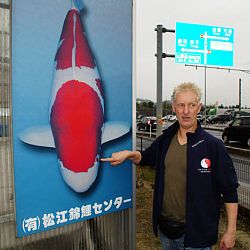 Eventjes kijken werd een heel gedoe bij Matsue: afbeelding 22