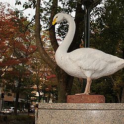 Folklore in Okayama: afbeelding 29