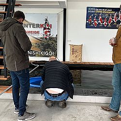 Gaan we samen knallend het jaar uit: afbeelding 1