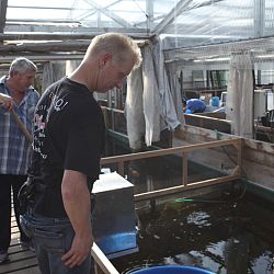 Gebundelde krachten: afbeelding 4