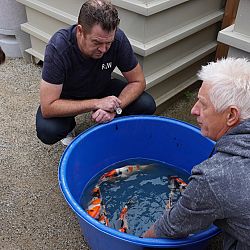 Gelukkig weer wat beweging: afbeelding 1