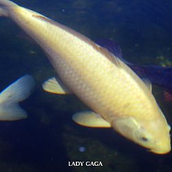 Goed aangekomen: afbeelding 2