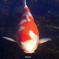 Goed aangekomen: afbeelding 3