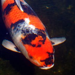 Goed aangekomen: afbeelding 8