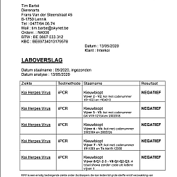 Goed nieuws: afbeelding 1
