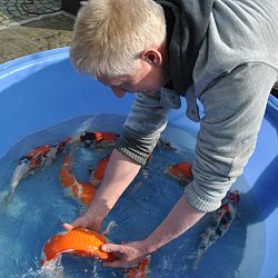 Goede vrijdag: afbeelding 6