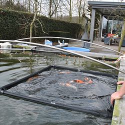 Goede vrijdag: afbeelding 12