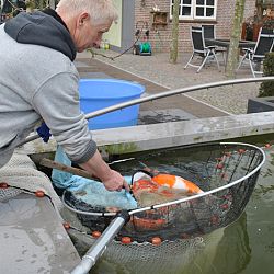 Goede vrijdag: afbeelding 13