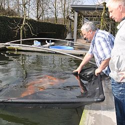 Goede vrijdag: afbeelding 22