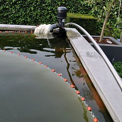 Groeivijverperikelen: afbeelding 1
