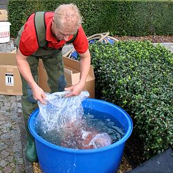 Groeivijverperikelen: afbeelding 2