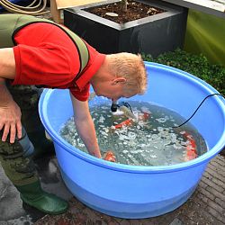Groeivijverperikelen: afbeelding 13