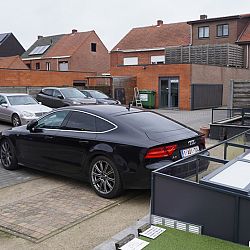 Guur en ongezellig, maar koi kijken primeert: afbeelding 1