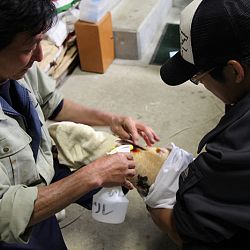 Handmatig kuit laten schieten: afbeelding 7