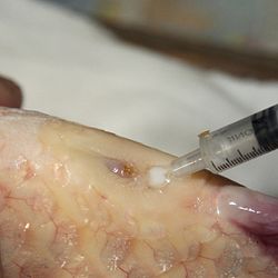 Handmatig kuit laten schieten: afbeelding 38