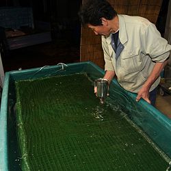 Handmatig kuit laten schieten: afbeelding 40