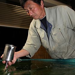 Handmatig kuit laten schieten: afbeelding 43