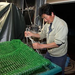 Handmatig kuit laten schieten: afbeelding 50