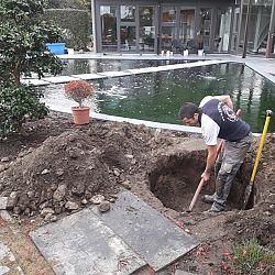 Het aards paradijs: afbeelding 1