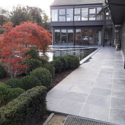 Het aards paradijs: afbeelding 5