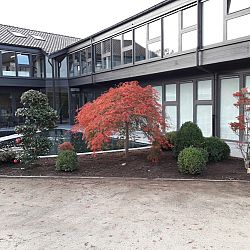 Het aards paradijs: afbeelding 6