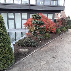 Het aards paradijs: afbeelding 7