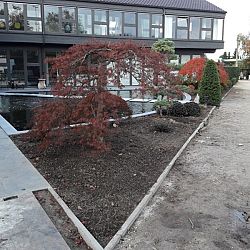 Het aards paradijs: afbeelding 11