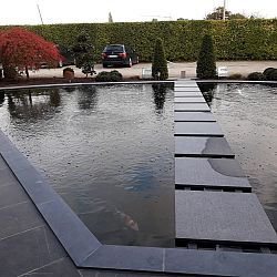 Het aards paradijs: afbeelding 13