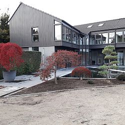 Het aards paradijs: afbeelding 19