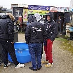 Het bezoek uit Italië: afbeelding 8