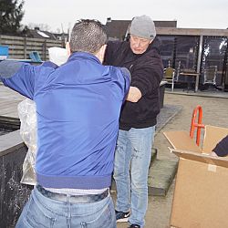Het bruine gevaarte: afbeelding 1