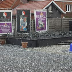 Het ging er heftig aan toe: afbeelding 1