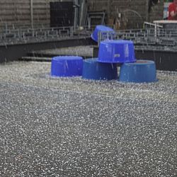 Het ging er heftig aan toe: afbeelding 2