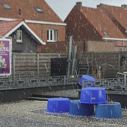 Het ging er heftig aan toe: afbeelding 3