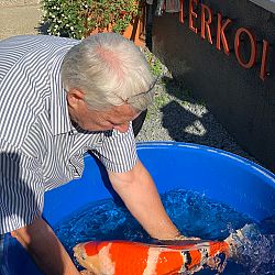 Het leven kan mooi zijn: afbeelding 1