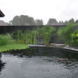 Het luxe resort: afbeelding 6
