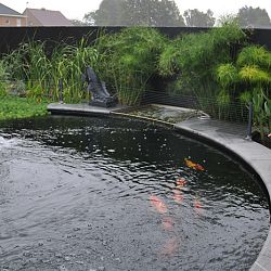Het luxe resort: afbeelding 7