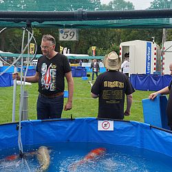Het mekka van de koishow, Arcen: afbeelding 4