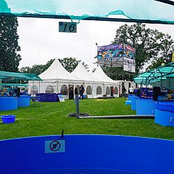 Het mekka van de koishow, Arcen: afbeelding 5