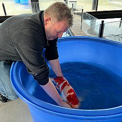 Op verzoek toch geopend: afbeelding 1