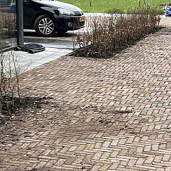 Het Paasweekend: afbeelding 3